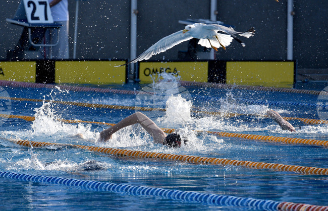 Bulgaria and Hungary Approve Draft Memorandum on Sports Collaboration