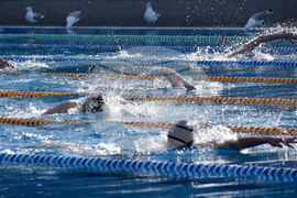 Варна - Международен турнир по плуване Black Sea Cup