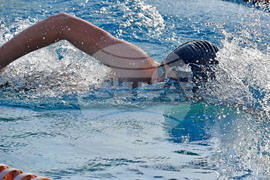 Варна - Международен турнир по плуване Black Sea Cup