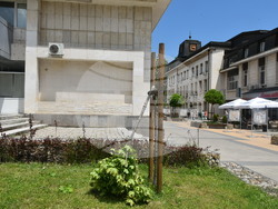 Снимка: Община Ловеч