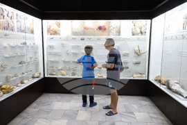 Бургас - Природонаучен музей - детска нощ на музеите