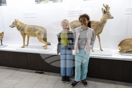 Бургас - Природонаучен музей - детска нощ на музеите