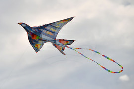 Село Свещари - фестивал на хвърчилата