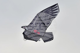 Село Свещари - фестивал на хвърчилата