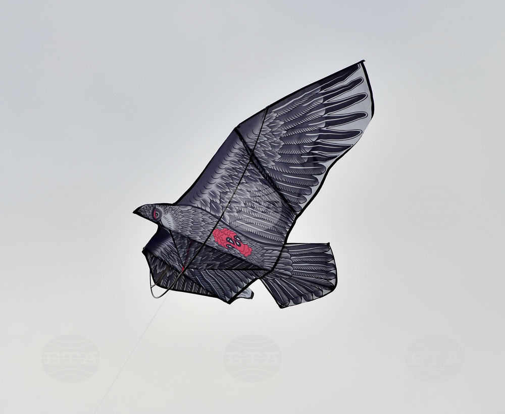 Село Свещари - фестивал на хвърчилата