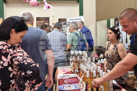 Казанлък - вино-розе - изложба