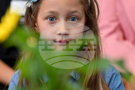 Северна Ирландия - Междуучилищния конкурс по български език - награди