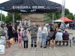 Снимка: Община Видин