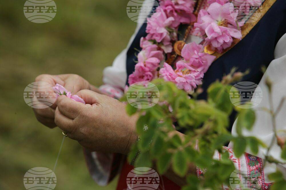 Kran - Rose picking - Ritual