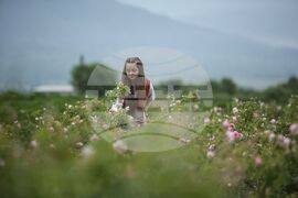 Kran - Rose picking - Ritual