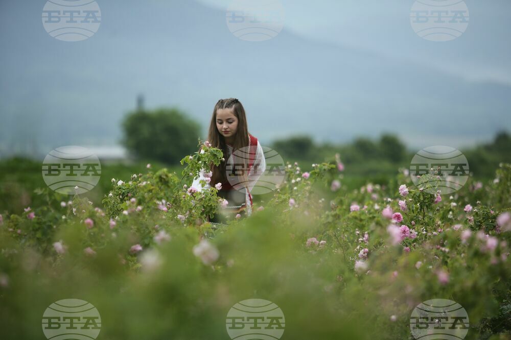 Kran - Rose picking - Ritual