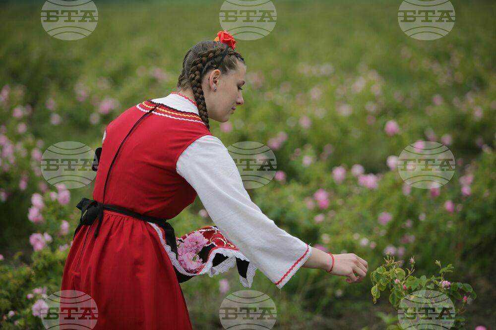 Kran - Rose picking - Ritual