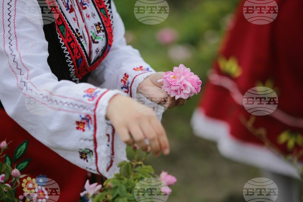 Kran - Rose picking - Ritual