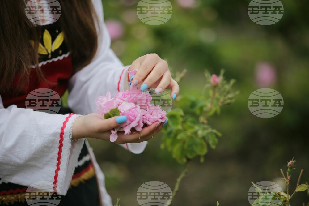 Kran - Rose picking - Ritual