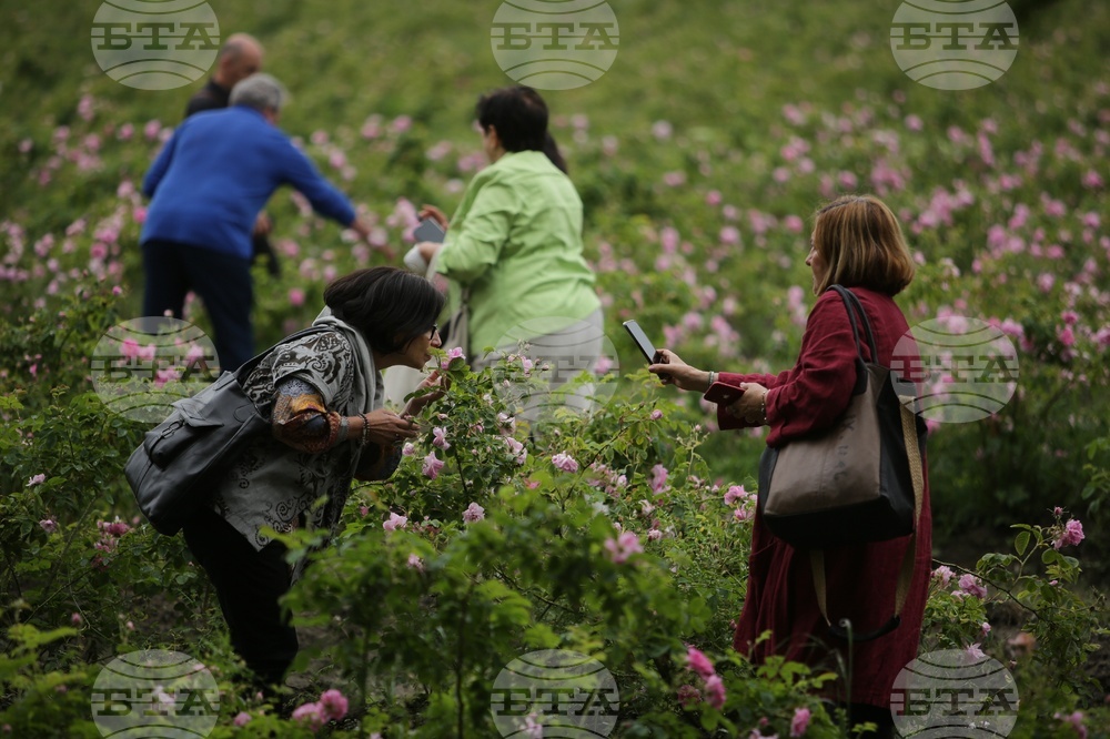 Kran - Rose picking - Ritual