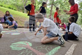 Пловдив - Световен ден на околната среда - празник