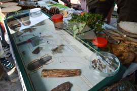 Благоевград - Световен ден на околната среда