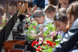 Благоевград - Световен ден на околната среда