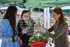 Благоевград - Световен ден на околната среда