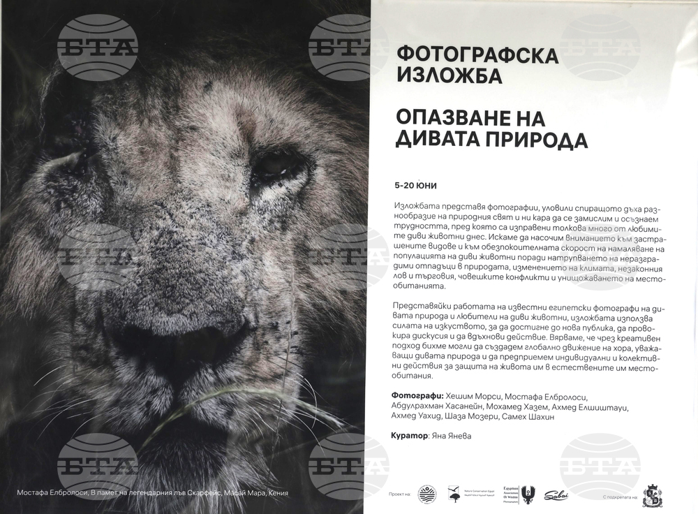 Фотоизложба „Опазване на дивата природа"