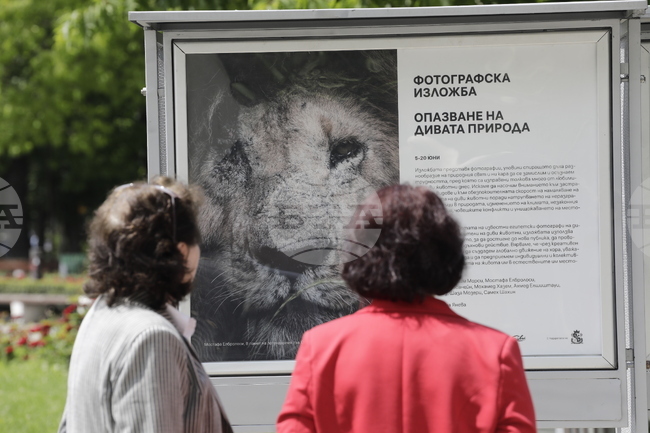 Фотоизложба „Опазване на дивата природа"