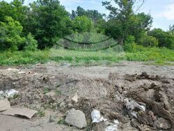 Снимка: Община Плевен