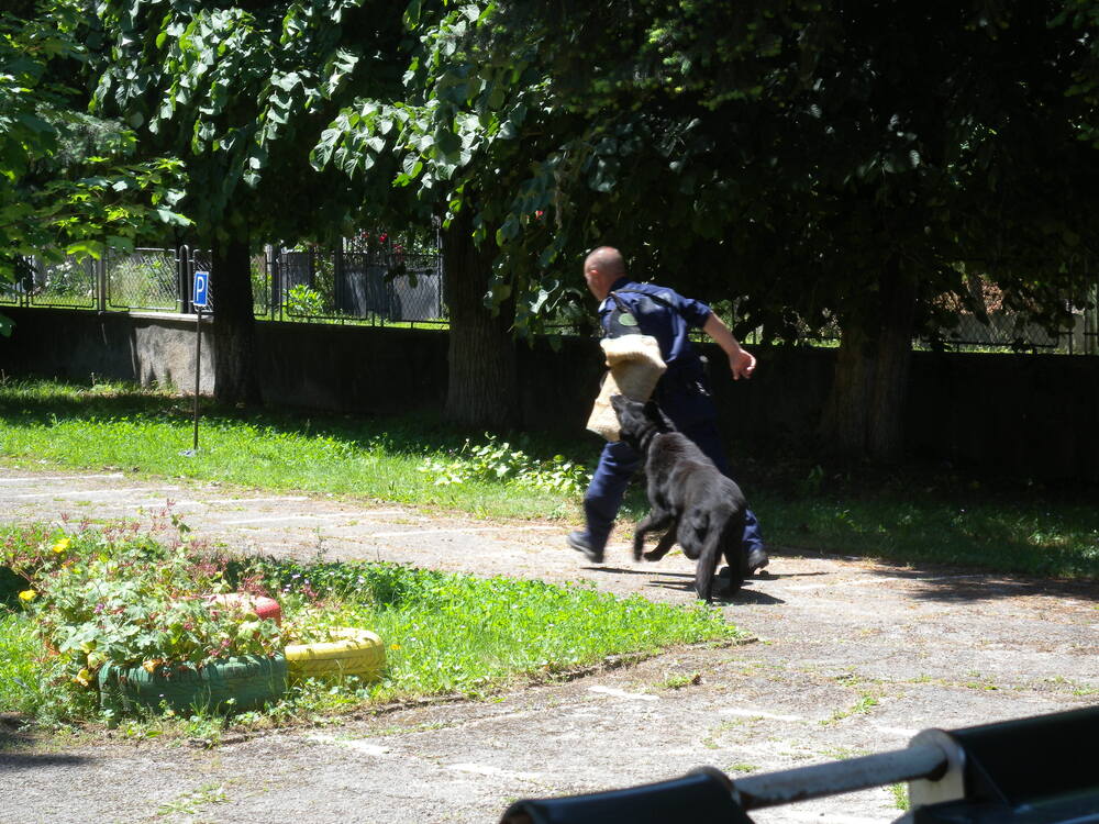 ОДМВР – Разград: В кондиция ли сме след употреба на алкохол тестваха тийнейджъри от ОУ „Христо Ботев“ - Исперих