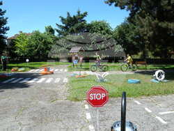 Снимка: ОДМВР – Разград