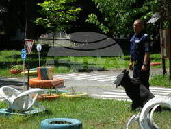 Снимка: ОДМВР – Разград