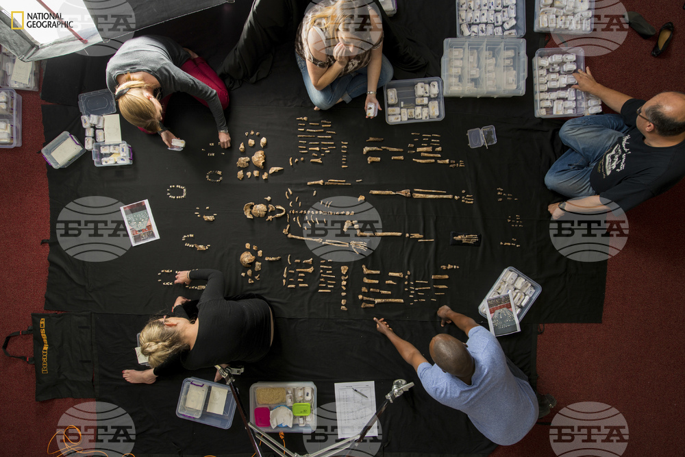 Фосили, открити в Мароко, може да са от близък прародител на вида хомо сапиенс, смятат учените