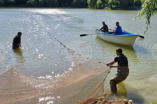 Търговище - преместване на риба - езеро