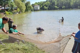 Търговище - преместване на риба - езеро