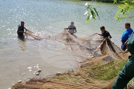 Търговище - преместване на риба - езеро
