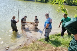 Търговище - преместване на риба - езеро