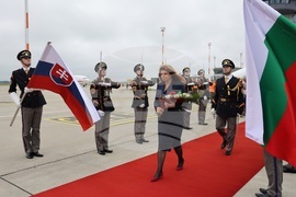 Словакия - вицепрезидент - форум