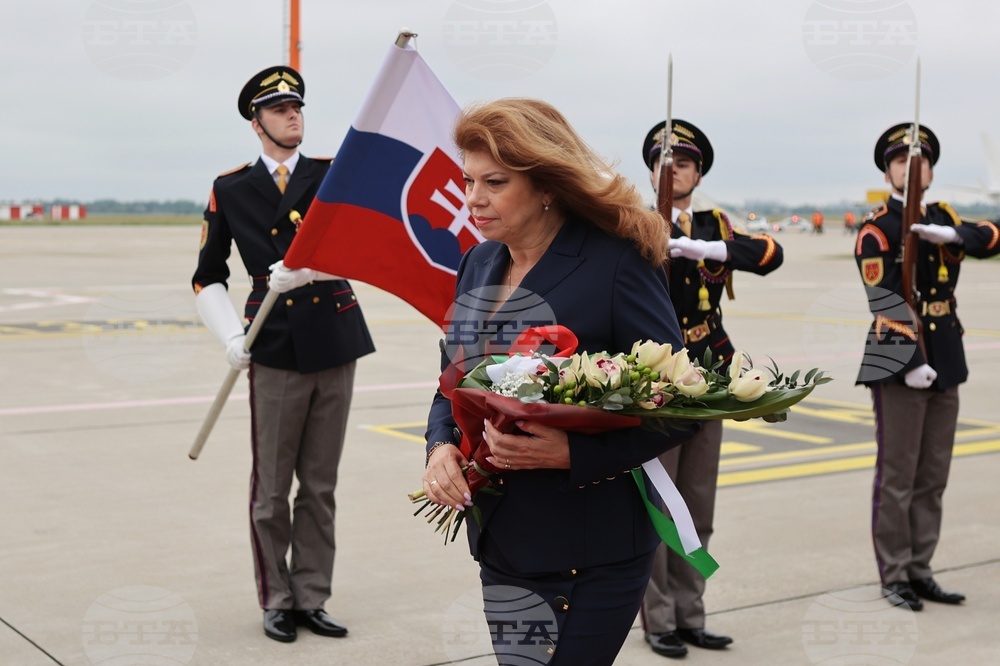 Словакия - вицепрезидент - форум