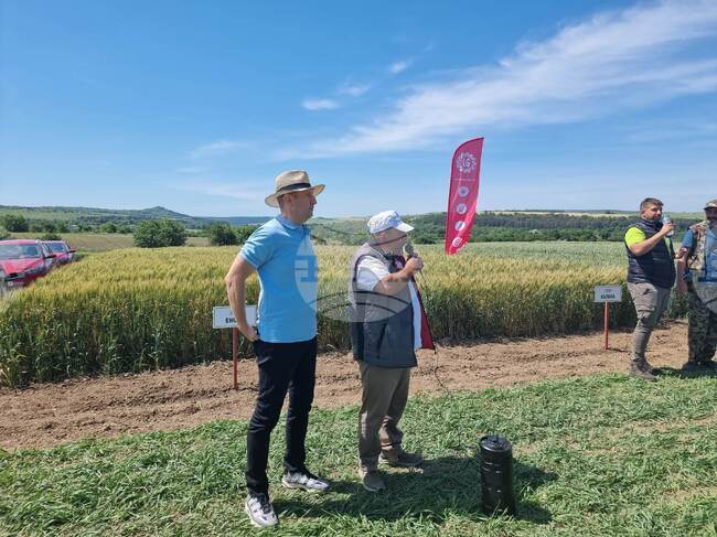 Разград - Ден на пшеницата