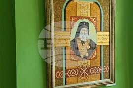 Видин - Петър Дарковски - изложба