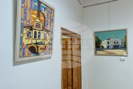 Видин - Петър Дарковски - изложба