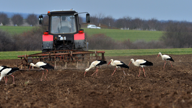 Government Approves BGN 4.3 Bln in EU, National Funding for Agriculture in 2025