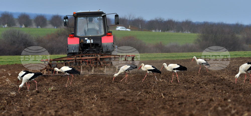 Government Approves BGN 4.3 Bln in EU, National Funding for Agriculture in 2025