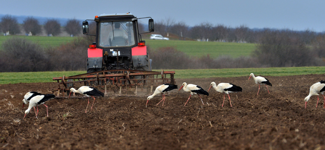 Government Approves BGN 4.3 Bln in EU, National Funding for Agriculture in 2025