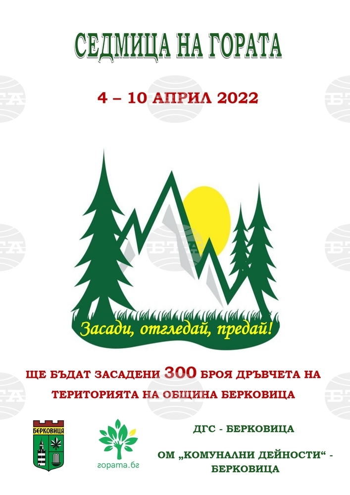 Над 300 дръвчета ще бъдат засадени в Берковица по повод седмицата на гората