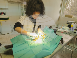 Снимка: Община Ловеч