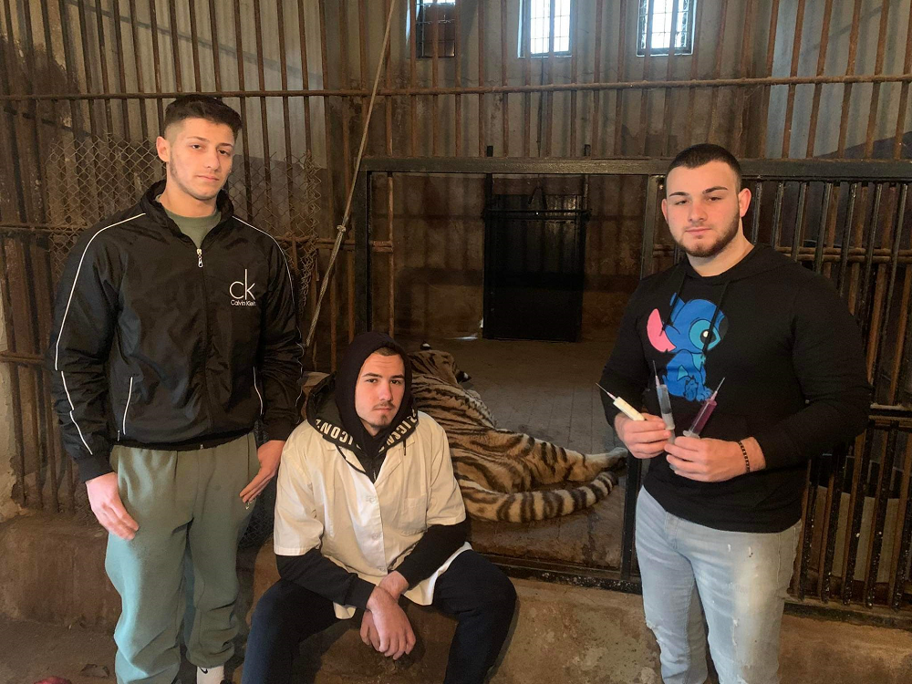 Община Ловеч: Ученици от НПГВМ „Проф. д-р Димитър Димов“ получиха допълнително практическо обучение в реална работна среда