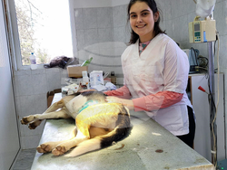 Снимка: Община Ловеч