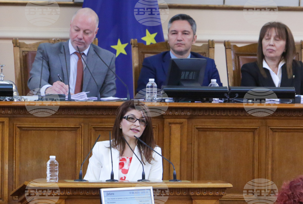 Парламент - заседание - Десислава Атанасова