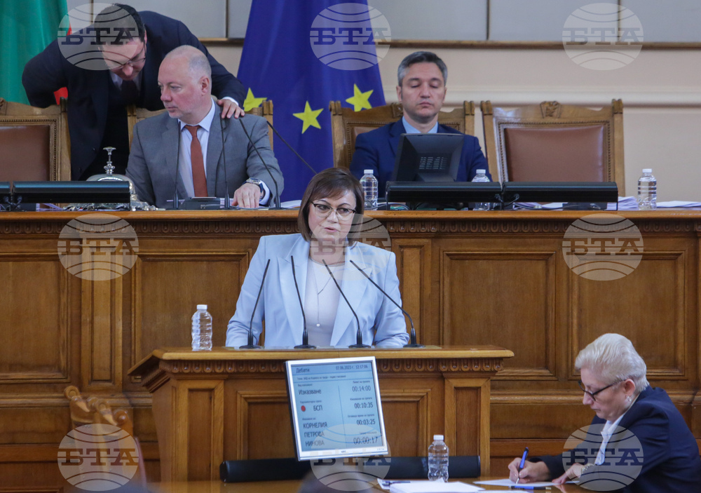 Парламент - заседание - Корнелия Нинова