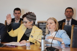 Парламент - Комисия по правни въпроси