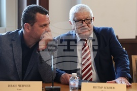 Парламент - Комисия по въпросите на децата, семейството, младежта и спорта